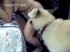 The household pet sucks the lonely slutwife from behind.